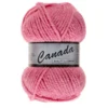 Lammy Canada